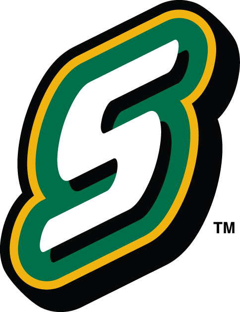 Southeastern Louisiana Lions 2003-Pres Alternate Logo v3 diy iron on heat transfer